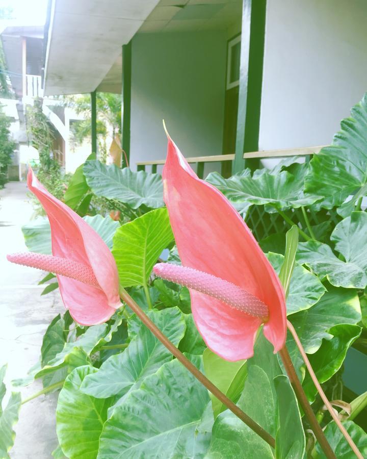 Nanda Wunn Hotel Nyaung Shwe Extérieur photo